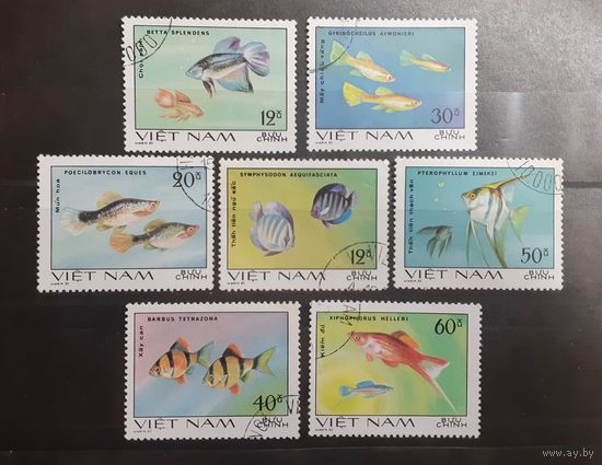 Вьетнам. Фауна. Рыбы (12)