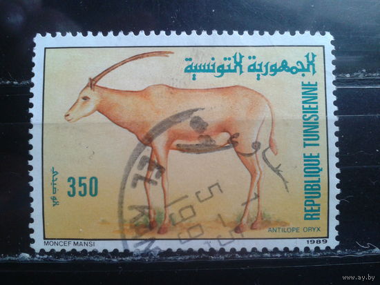 Тунис, 1989. Антилопа Орикс