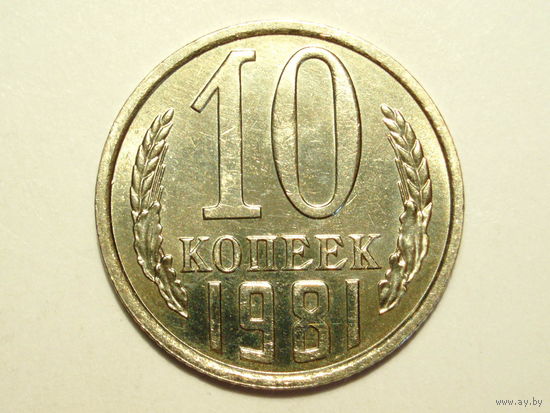 10 копеек 1981 aUNC #C Яркая!