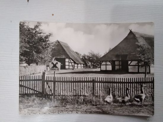 Открытое письмо 1938г