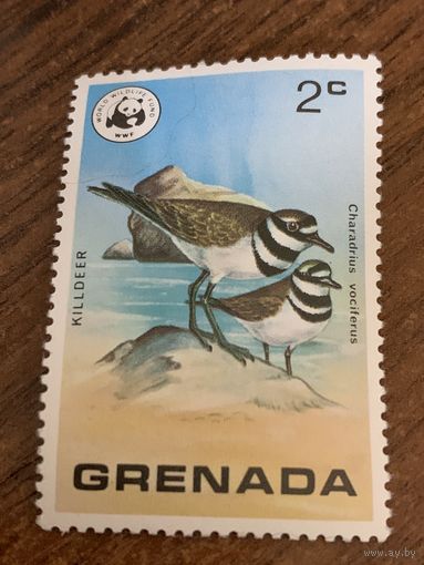 Гренада. Птицы. Charadrius vociferus. Марка из серии