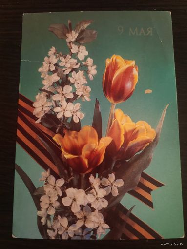 Открытка,9 мая,подписана