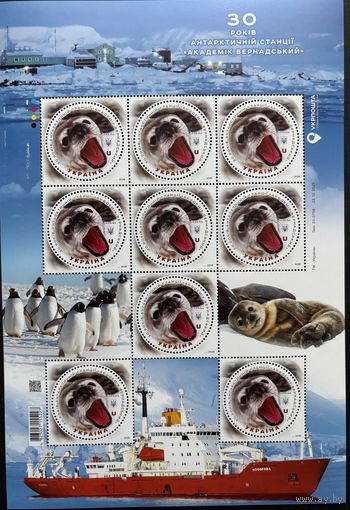 Украина 2026-Антарктическая станция Академик Вернадский. Фауна. Тюлень. Малый лист