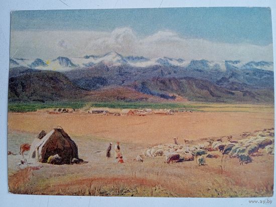 1955. На высокогорных склонах Сусамира. Киргизия