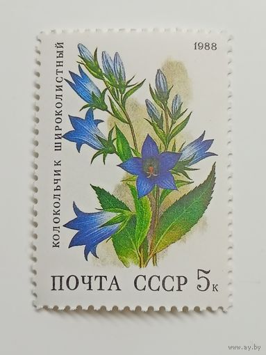 1988 СССР. Лесные цветы. Колокольчик широколистный