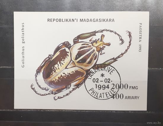 Мадагаскар. 1993 год. Фауна. Жуки (блок) (1181)