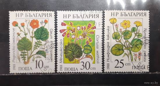 Болгария. 1988 год. Флора. Цветы. Лекарственные растения (1300)