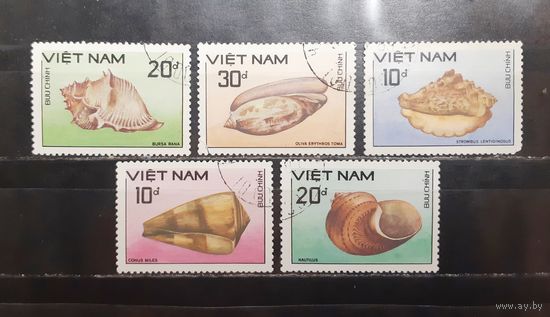 Вьетнам. Фауна. Ракушки (1337)