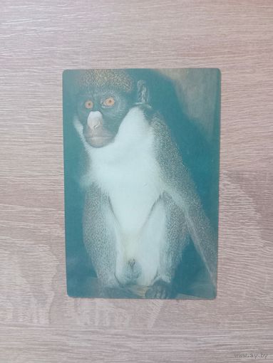 Календарик 1990