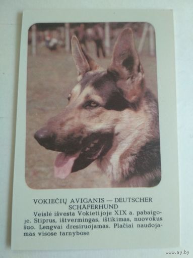 Карманный календарик. Овчарка. 1988 год