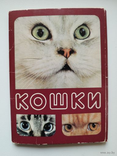 Кошки. 1989 год. 16 из 18 открыток