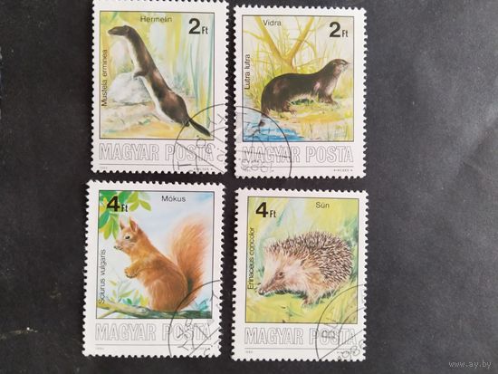 Венгрия  1986  4 м    дик.животные