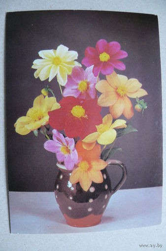 Киндрова Д., Осенний букет; 1988, чистая.
