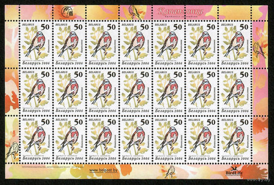 Беларусь. 2006. Стандарт. Коноплянка (50р) (з.51-2007)  лист 7х3