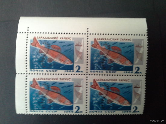 Ссср 1966. Квартблок . Хариус. будет с левым полем