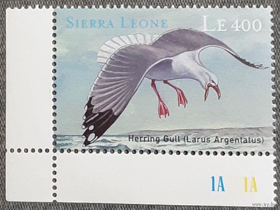 2000  Серебристая чайка Сьерра -Леоне