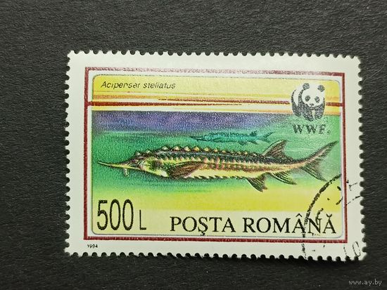Румыния 1994. Всемирный фонд дикой природы. Севрюга