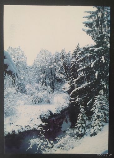 Беларусь 1998 открытка Зимний пейзаж фото Македонского.