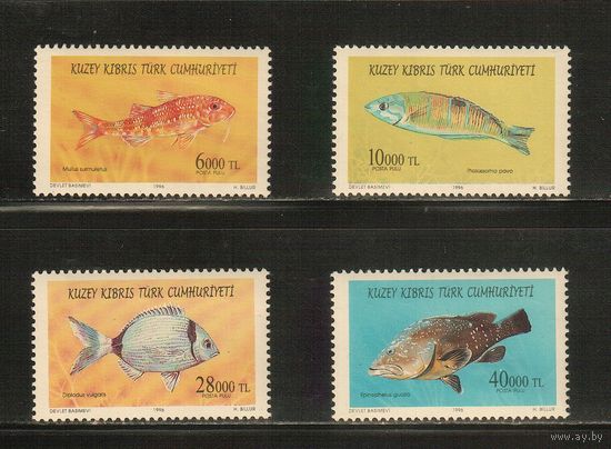Турецкий Кипр-1996(Мих.420-423) , ** , Морская фауна, Рыбы (полная серия)