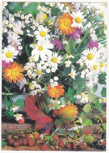 Открытка 1999 (520)