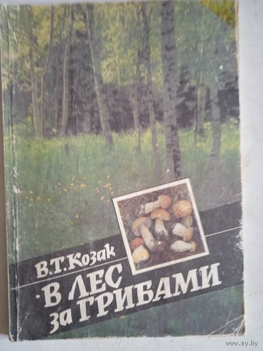 В ЛЕС ЗА ГРИБАМИ