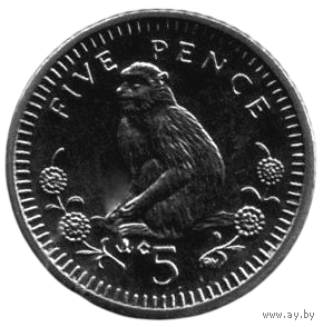 Заморская Территория Гибралтар 5 пенни /пенсов 2003 АС. Фауна. Обезьяна. Год тип.