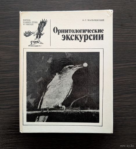Орнитологические экскурсии | Жизнь наших птиц и зверей | Выпуск 4 | Птицы | Мальчевский