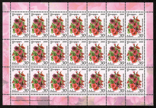 Беларусь. 2008. Стандарт. Петуния (30р) (з.85-2011) Лист