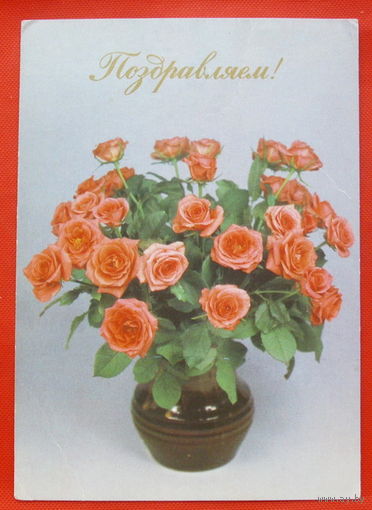 Поздравляем! Подписанная. 1984 года. Шарова. # 234.