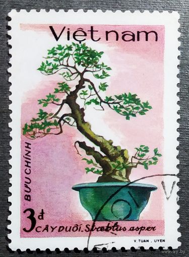 Марка Вьетнам 1986 год Дерево Бонсай