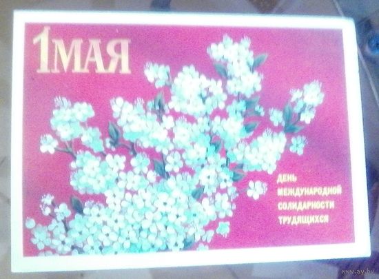 1978 год Ю.Срывков 1 мая день