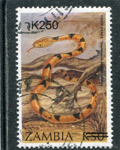 Замбия. Фауна. Кошачья змея. Надпечатка