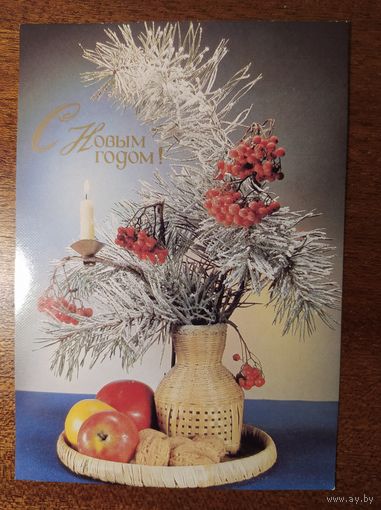 Открытка С Новым Годом! Чистая. 1989 года. Фото Д. Киндровой.