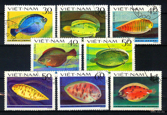 1982 Вьетнам. Камбалообразные