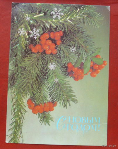 С новым годом! Подписанная. 1987 года. Дергилева. 428.