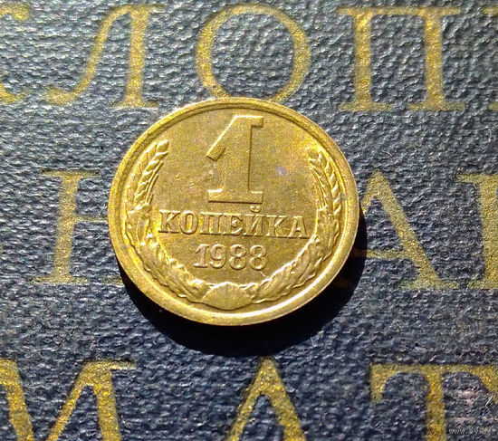 1 копейка 1988 СССР #25