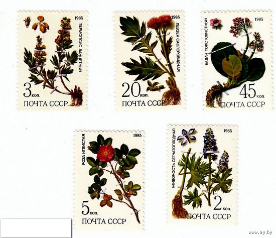 Марки СССР 1985 год. 5649-5653. Лекарственные растения серия из 5 марок