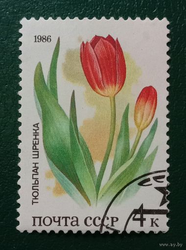 Марка СССР 1986 Тюльпан