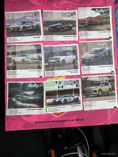 9  вкладышей Rally
