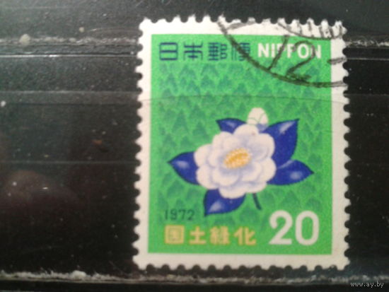 Япония, 1972. Стандарт. Японская камелия