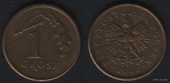 Польша y276 1 грош 2003 год (mw) (_5