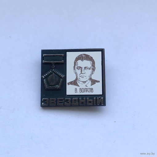 В.Волков  Летчик-космонавт Звездный