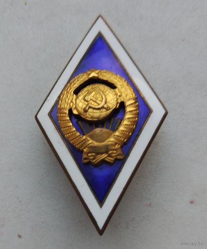 Университет