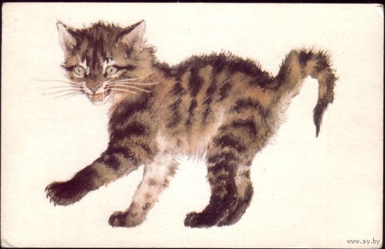 1970 год В.Лебедев Котята No5