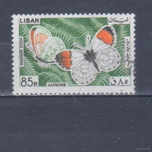 [1097] Ливан 1965. Фауна.Бабочка.85 п. Гашеная марка.