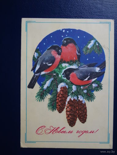С Новым годом!  1979 г.  Снегири, шишки.  подписанная.