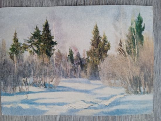 1954. Крылов. Мартовское утро в лесу