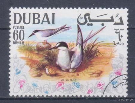 [771] Дубай 1968. Фауна.Птицы.Крачки. Гашеная марка.