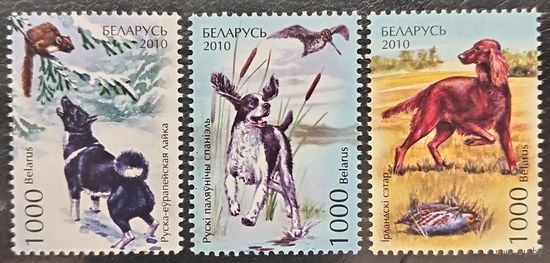 Беларусь 2010. Охотничьи собаки. Полная серия