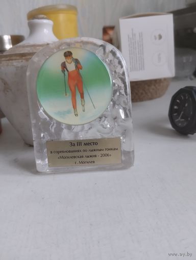 Приз 3 место Лыжные гонки Могилёв.